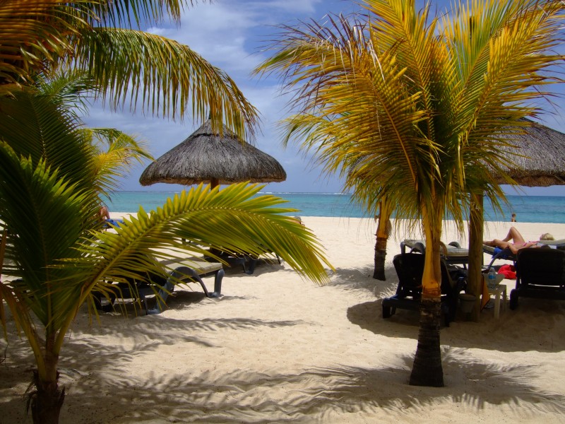 Mauritius 2010 - 0123 